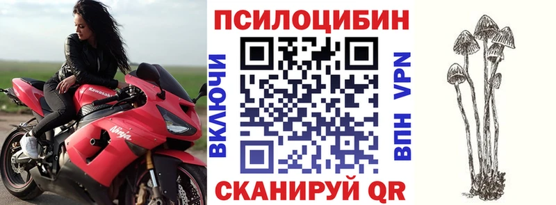 Псилоцибиновые грибы Cubensis  Купить где  Ханты-Мансийск 